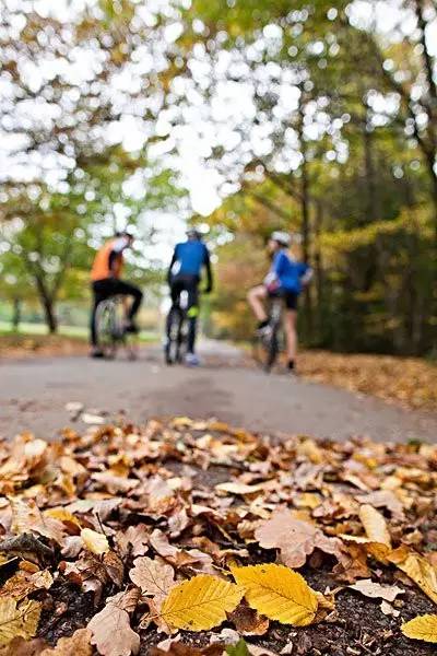 骑摩托车经验技巧,骑车经验和技巧