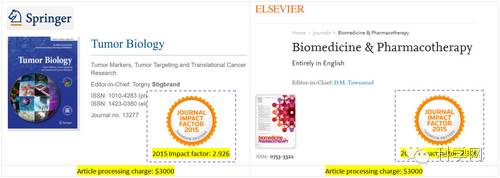 “坚定不移地将中国科研拖入深渊”的SCI杂志主编