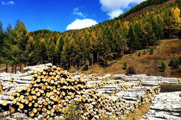 说走就走沙漠,说走就走张家口