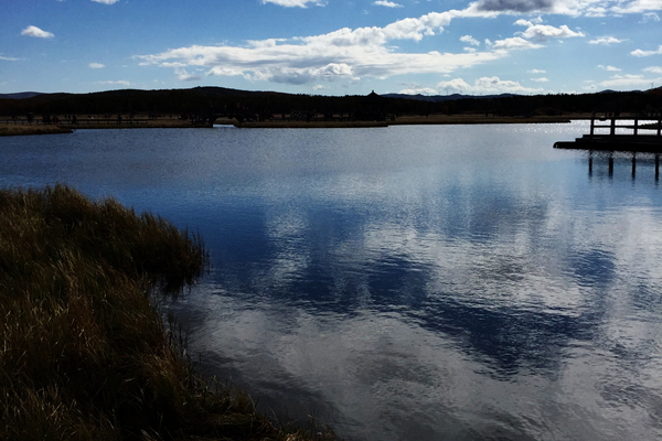 说走就走沙漠,说走就走张家口