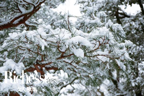 隈研吾建筑大师,日本建筑师隈研吾别墅