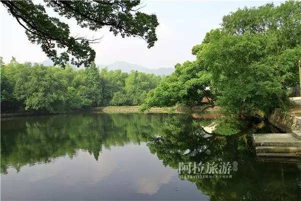 秋风起，宁波人纷纷赶去了这个“浙东第一蟹乡”！湖美螃蟹壮