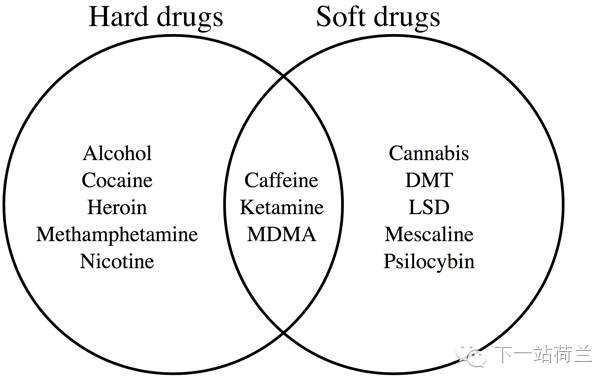 让*麻大**合法化的荷兰人,脑子里到底进了什么水?