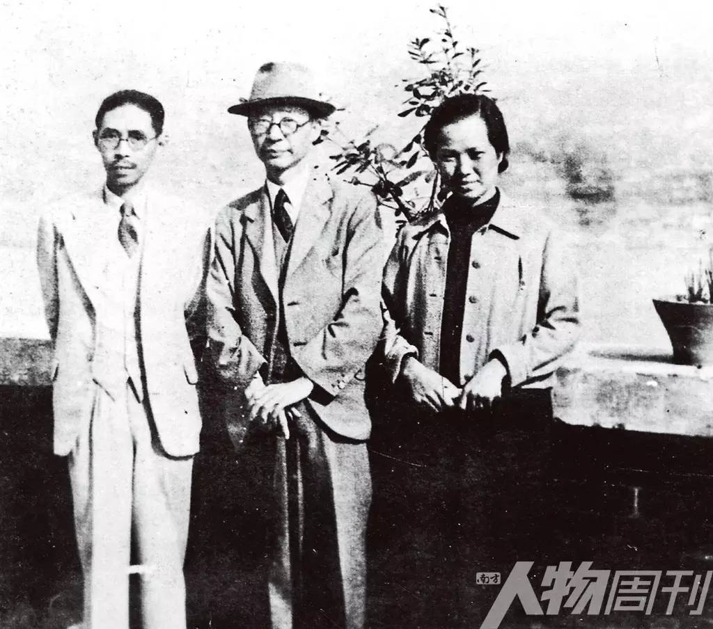 风中作者知乎,风中柳图片