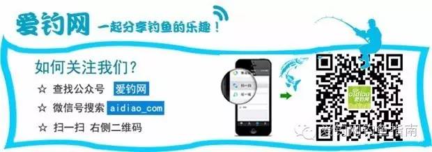 投稿调漂，你被铅皮座忽悠了吗？