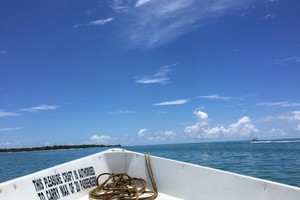 身心的放逐---毛里求斯