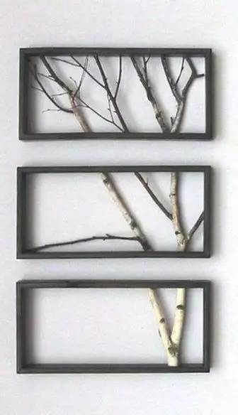 美爆了!台风过后,那些残根断枝竟然这么有用!赶紧学起来...