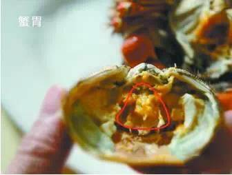 中秋适合吃大闸蟹么,中秋前要吃大闸蟹吗