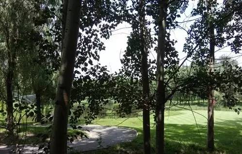 cool1dual评测：千元新标杆全民真双摄！