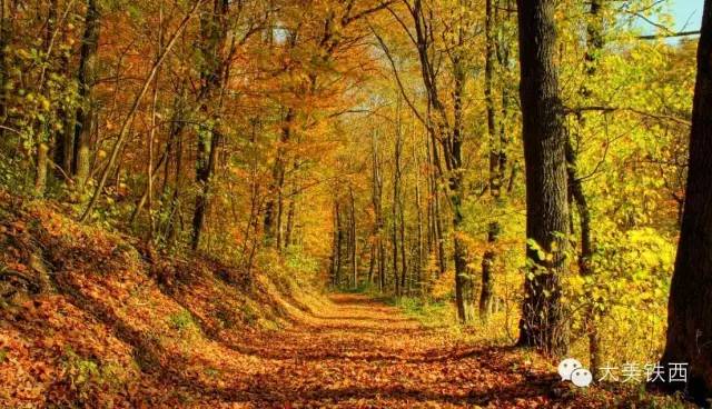 普兰店著名遗址,瓦房店普兰店历史文化