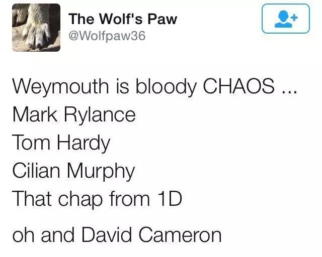 卡梅伦的“退休”生活:逛吃、逛吃、逛吃