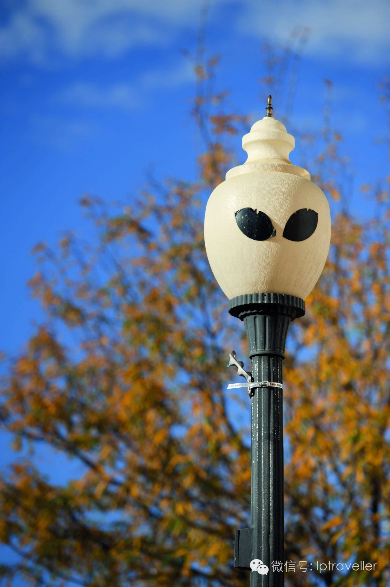 星球坐标｜新墨西哥州：“外星人的栖身之所”探秘之旅