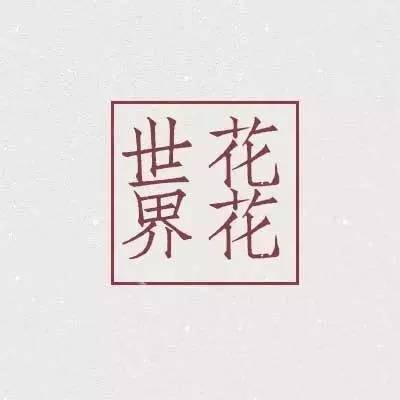 花花世界火焰花,花花世界红与白