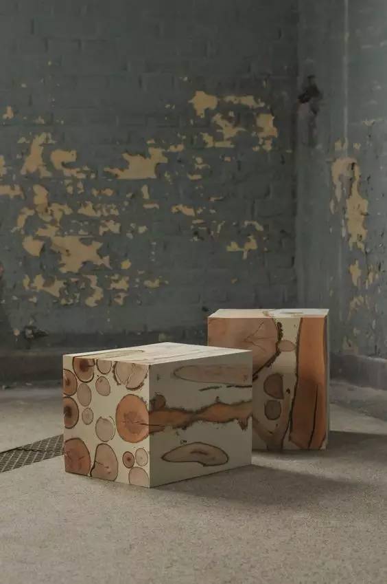 美爆了!台风过后,那些残根断枝竟然这么有用!赶紧学起来...