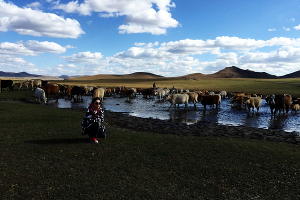 说走就走沙漠,说走就走张家口