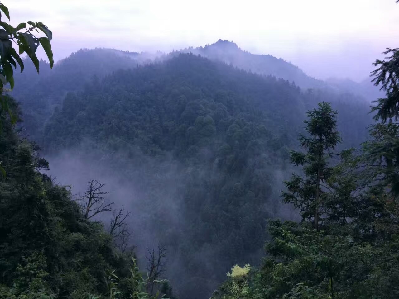 活法｜最好的*眠药安**，就是伸手不见五指