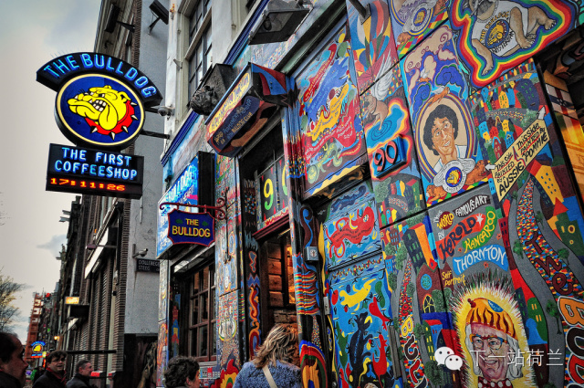 让*麻大**合法化的荷兰人,脑子里到底进了什么水?