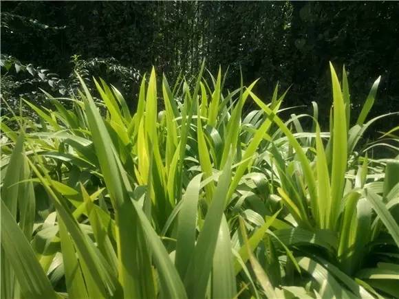 魅蓝u20的参数是多少,魅蓝u20手机好不好