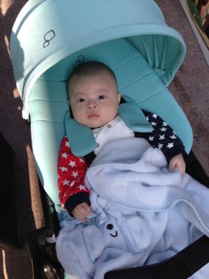 高景观婴儿推车四季通用折叠避震,大童避震推车8-16岁轻便旅游