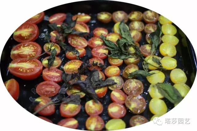 Miigi的罗勒种植、烹饪攻略！