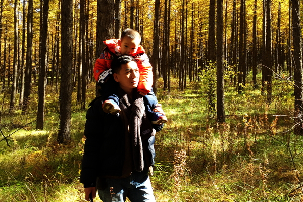 说走就走沙漠,说走就走张家口