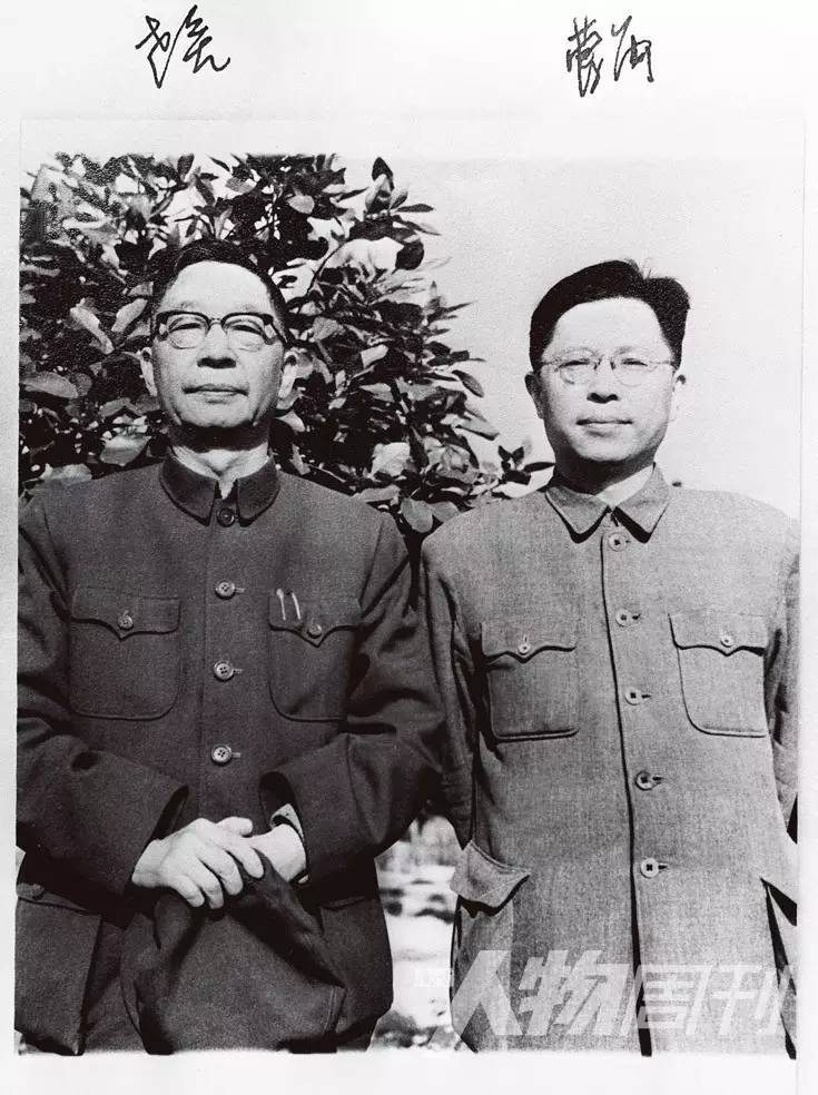 风中作者知乎,风中柳图片