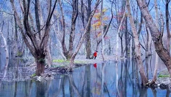 江西最美自驾线路推荐,江西自驾5条最佳线路图