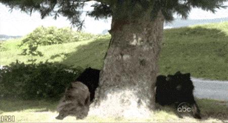 钦州海滨浴场最新视频,钦州有免费海滩吗