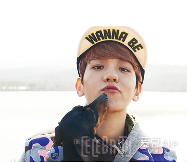 exo盘点,exo周边盘点