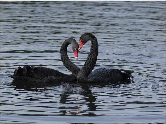 探秘校园的感想作文400字,探秘课文