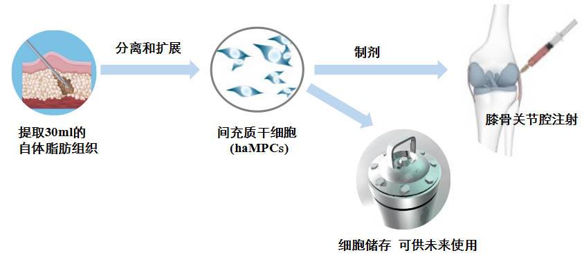 西比曼生物公司,西比曼生物科技有限公司地址