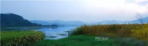 秋风起，宁波人纷纷赶去了这个“浙东第一蟹乡”！湖美螃蟹壮