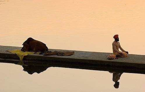 每日养生|火锅好吃？快看看吧！