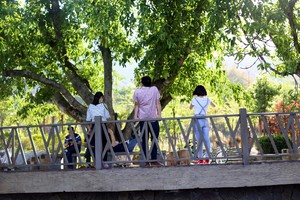 初冬的泸沽湖视频,初冬泸沽湖的水