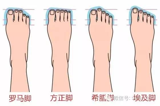 在香港（二）：翻箱——香港之行我买了啥