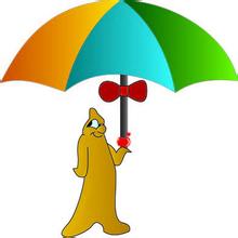 世界避孕日的感想,今年世界避孕日主题