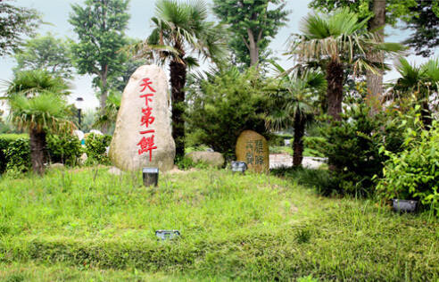 26个英文字母带你看懂我们大如东!