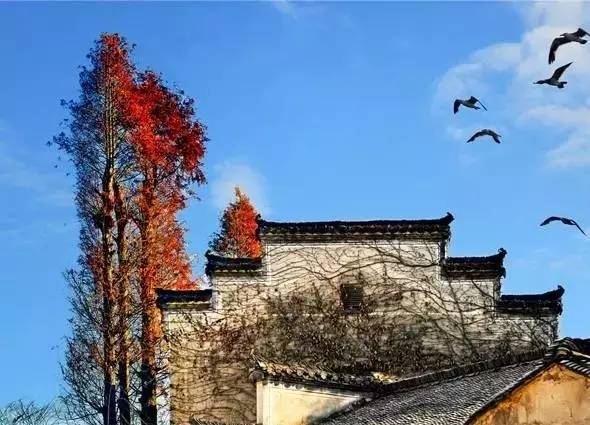 江西最美自驾线路推荐,江西自驾5条最佳线路图