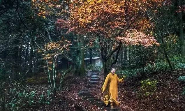 江西最美自驾线路推荐,江西自驾5条最佳线路图