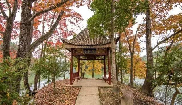 江西最美自驾线路推荐,江西自驾5条最佳线路图