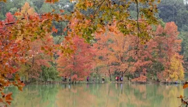 江西最美自驾线路推荐,江西自驾5条最佳线路图