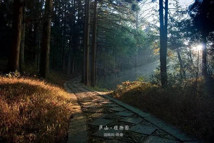 江西最美自驾线路推荐,江西自驾5条最佳线路图