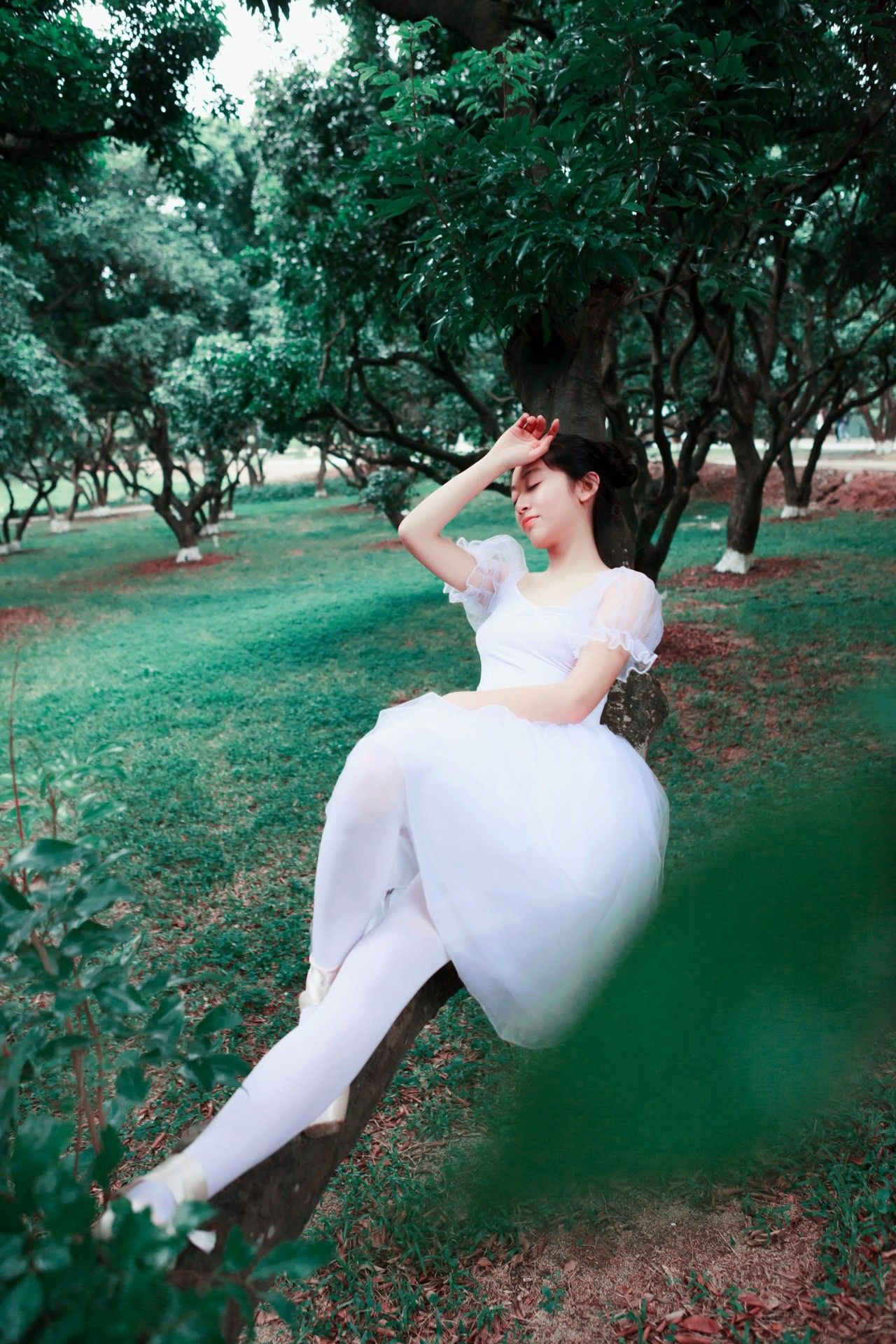 今日摄影师推荐｜未羊NAUIL