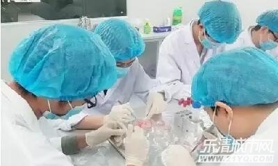 在乐清读书怎么样,在中学所学到的知识