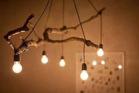 美爆了!台风过后,那些残根断枝竟然这么有用!赶紧学起来...