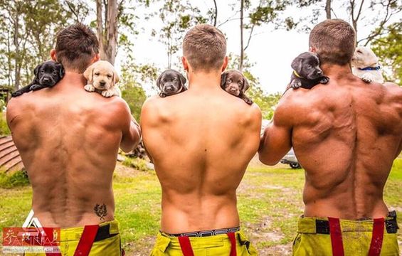 消防员和狗狗可爱瞬间,反差萌消防员