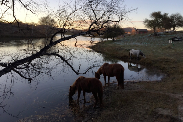 说走就走沙漠,说走就走张家口