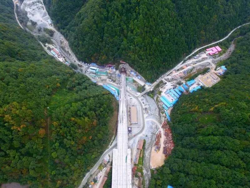 郑徐高铁刚通车!从现在起,咱西安人民还可以憧憬未来的周末成都两日慢生活啦!