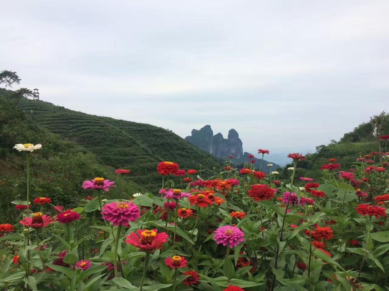 活法｜最好的*眠药安**，就是伸手不见五指