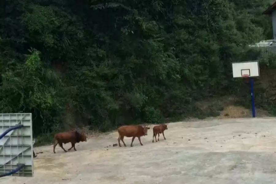 活法｜最好的*眠药安**，就是伸手不见五指